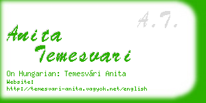 anita temesvari business card